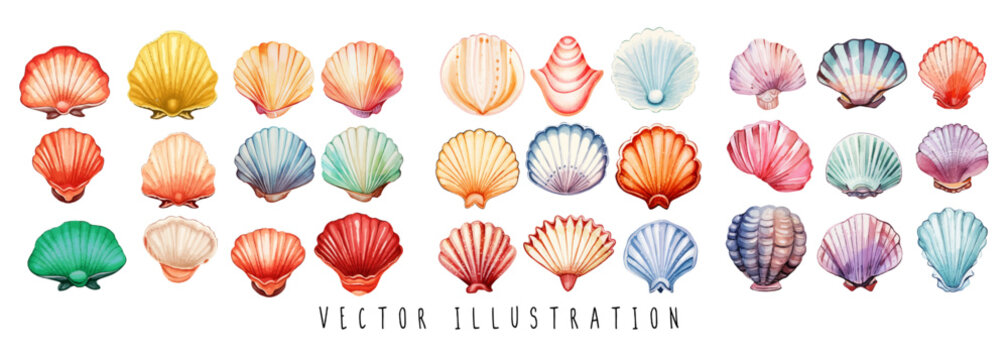 collection of watercolor seashells  isolated on white background. Ocean marine sea element graphic design. Vector illustration