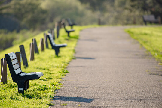 Solitary, Park Benches, Solitude, Aging, Lake Los Carneros, Goleta, Santa Barbara, Alone, Tranquil, Quiet
