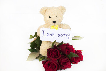 i am sorry message card handwriting with teddy bear, red rose flowers arrangement flat lay postcard style on background white