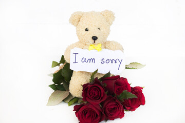 i am sorry message card handwriting with teddy bear, red rose flowers arrangement flat lay postcard...