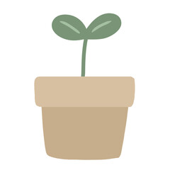Planting trees from small plants in pots