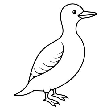 recommend clip art: guillemot