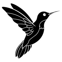hummingbird