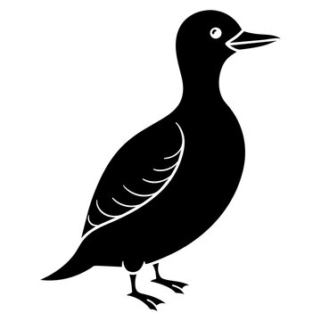 recommend clip art: guillemot