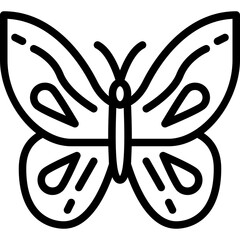 butterfly outline icon