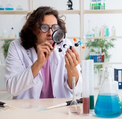 Funny male chemist working in the lab