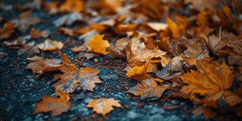 Autumn leaves on the ground. Natural background. Top view.