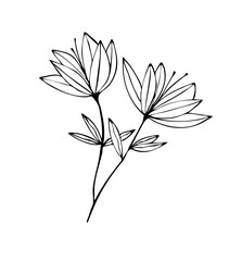 Botanical flower leaves line art illustration line art 