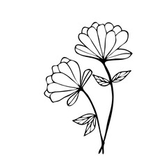Botanical flower leaves line art illustration line art 