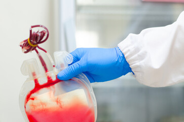 Red Blood bag with blue glove.