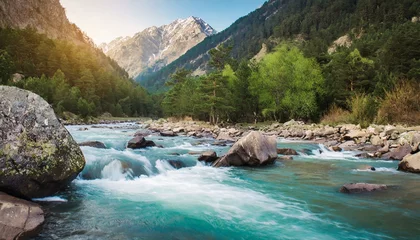 Foto auf Acrylglas mountain river in the mountains © ENMANUEL CAST