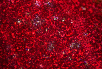 Plants cell texture.