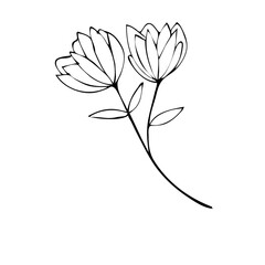 Flower Line Art Illustration, Aesthetic floral hand drawn 