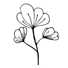 Flower Line Art Illustration, Aesthetic floral hand drawn 