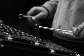 Hands of a musician playing a metallophone in black and white - 727570804