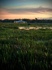 Fototapeta premium Sunset in the swamp looking at a cabin at night