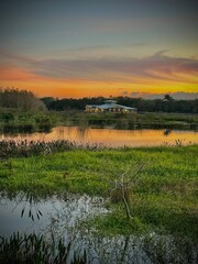 Sunset in the swamp looking at a cabin at night