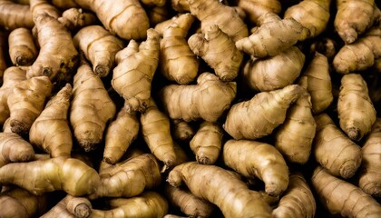A pile of freshly dug ginger root