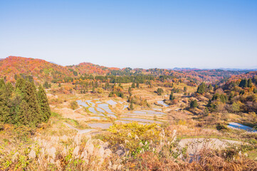 新潟　秋の星峠の棚田（十日町市）