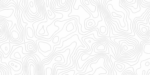 seamless pattern and topography map and counter map. abstract sea map area space geometrics line technology topo landscape grid map texture.