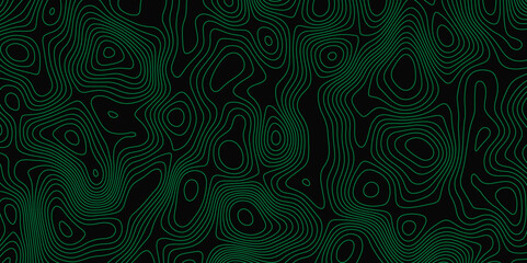 Fototapeta na wymiar Fractal lines background. Topographic map like abstract backdrop. Topographic multicolored linear background for design Map.