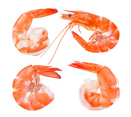 shrimps isolated on a white background.