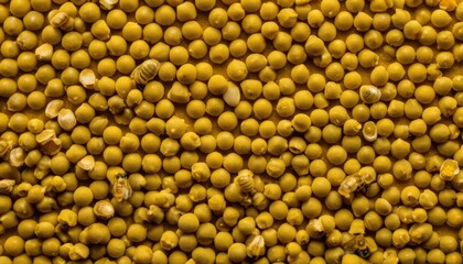 A pile of yellow corn kernels