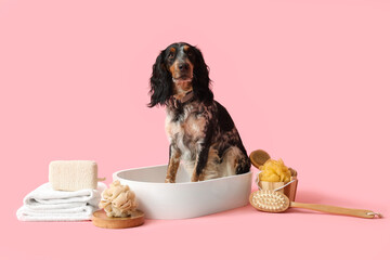 Cute cocker spaniel in sink with bath accessories on pink background