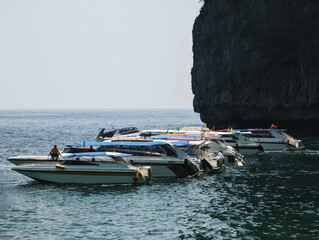 A serene scene of multiple boats floating on calm waters, anchored near a rocky cliff. The boats have sleek designs and colorful canopies.