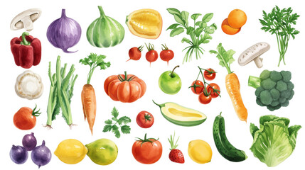 Watercolor painted hand-drawn collection vegetables and fruits. design elements: greenery, leaves, corn, wheat, tomato, potato, leaves, stalks, Broccoli, carrot, pepper, garlic transparent background