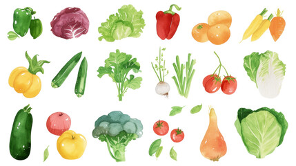 Watercolor painted hand-drawn collection vegetables and fruits. design elements: greenery, leaves, corn, wheat, tomato, potato, leaves, stalks, Broccoli, carrot, pepper, garlic transparent background