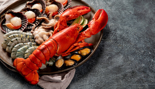 Fresh seafood on a plate. Lobster, shellfish, prawns.
