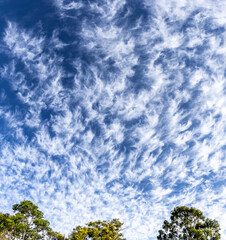 Obraz premium A blue sky full of wispy clouds