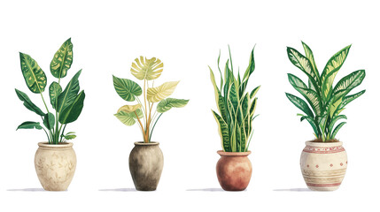 Watercolor Illustrations of Popular House Plants in Pots, Set of Deciduous Indoor Plants, Isolated on Transparent Background