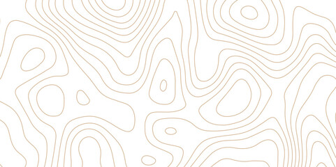 Fototapeta na wymiar Abstract background with topographic contours map .white wave paper and geographic golden line abstract background .vector illustration of topographic line contour map design .