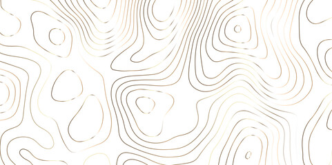 Abstract background with topographic contours map .white wave paper and geographic golden line abstract background .vector illustration of topographic line contour map design .