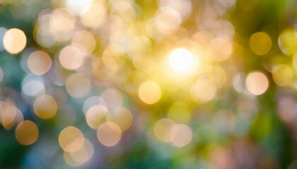 forest  bokeh background.