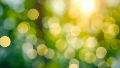 forest  bokeh background.