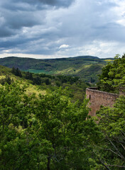 Sun shining on green trees on a hill next to a wall near Rheingrafenstein Castle in Rhineland Palatinate, Germany.