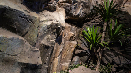 Huge rocks stone and light shining down, resembling a cave., tree trunk with roots, background landscapes