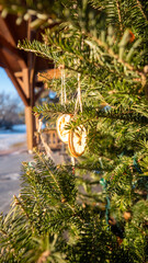christmas tree in the snow