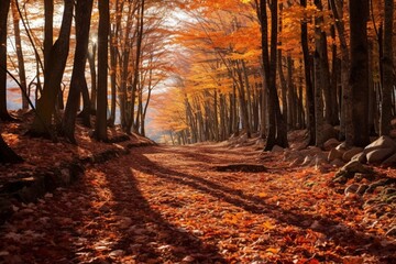 : A dense forest blanketed in autumn colors, with leaves creating a vibrant carpet on the ground.