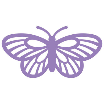 Purple Butterfly