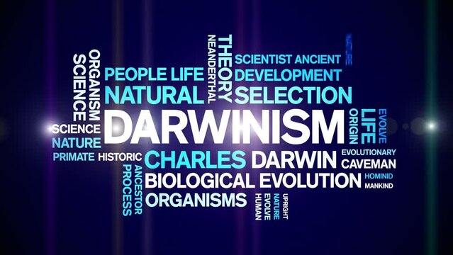 Darwinism animated tag word cloud;text design animation kinetic typography seamless loop.
