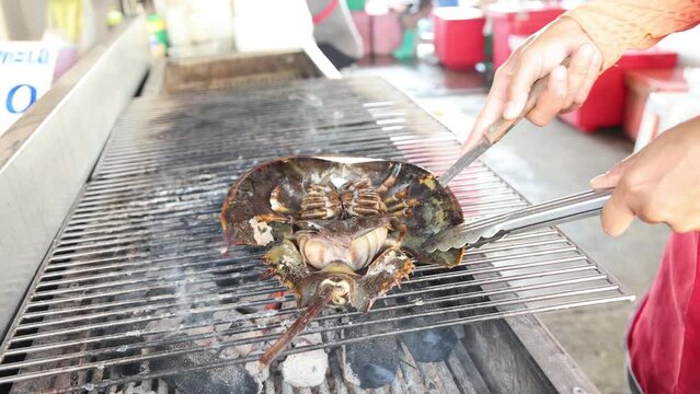 Grilling a Horseshoe Crab at a Market