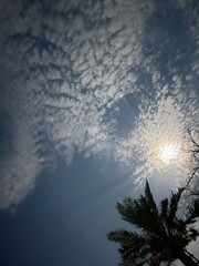 Naklejka premium sun and clouds