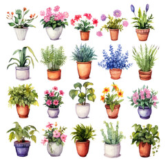 Fototapeta premium Set of flowers and plants in pots watercolor