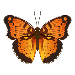 Variegated butterfly, suitable for sticker or icon. Detailed vector illustration. - 727626268