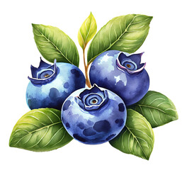 Generative image of blueberries isolated on white background