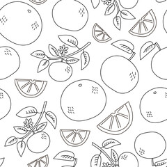 Tangerine doodle seamless pattern. Cute hand drawn mandarin fruit repeat black sketch vector illustration on white background for citrus taste product packaging